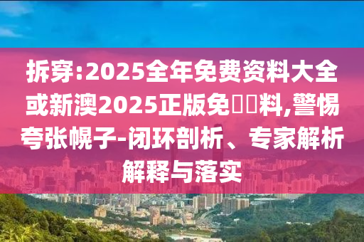 拆穿:2025全年免費(fèi)資料大全或新澳2025正版免費(fèi)資料,警惕夸張幌子-閉環(huán)剖析、專家解析解釋與落實(shí)